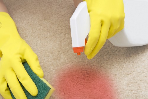 Professional pet stain odour removal in Marylebone for carpets