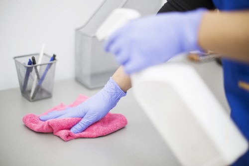 Specialist carpet care for pet stains and smells in Marylebone