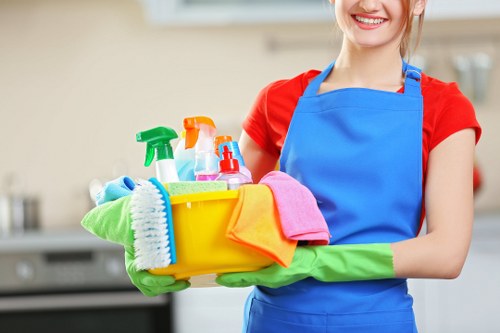 Inclusive digital access statement for Marylebone carpet cleaning services