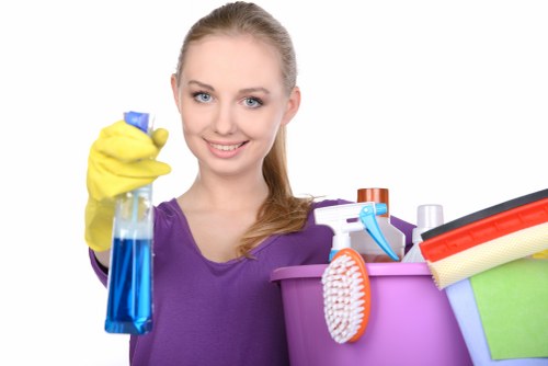 Deep cleaning treatment for pet odours in a Marylebone home